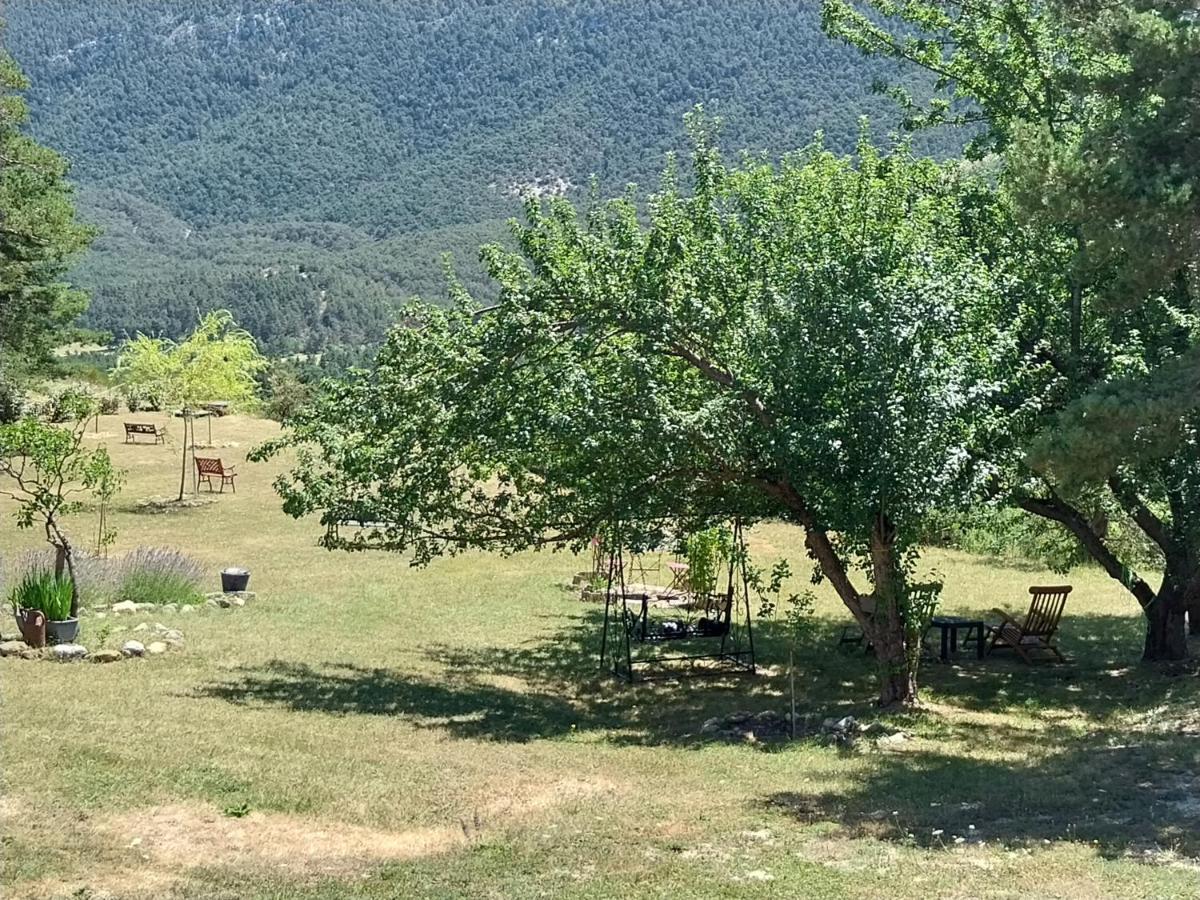 Petit Studio Dans La Prairie Saint-Auban  Eksteriør bilde