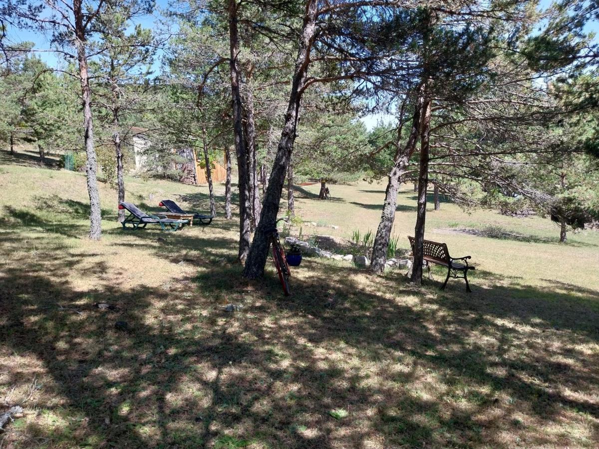 Petit Studio Dans La Prairie Saint-Auban  Eksteriør bilde
